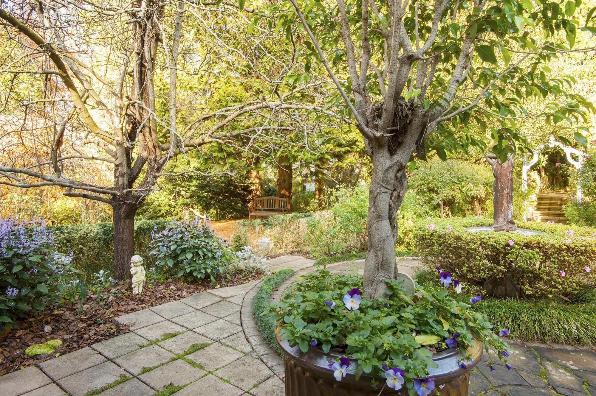 Clarendon Cottages Sassafras Екстериор снимка