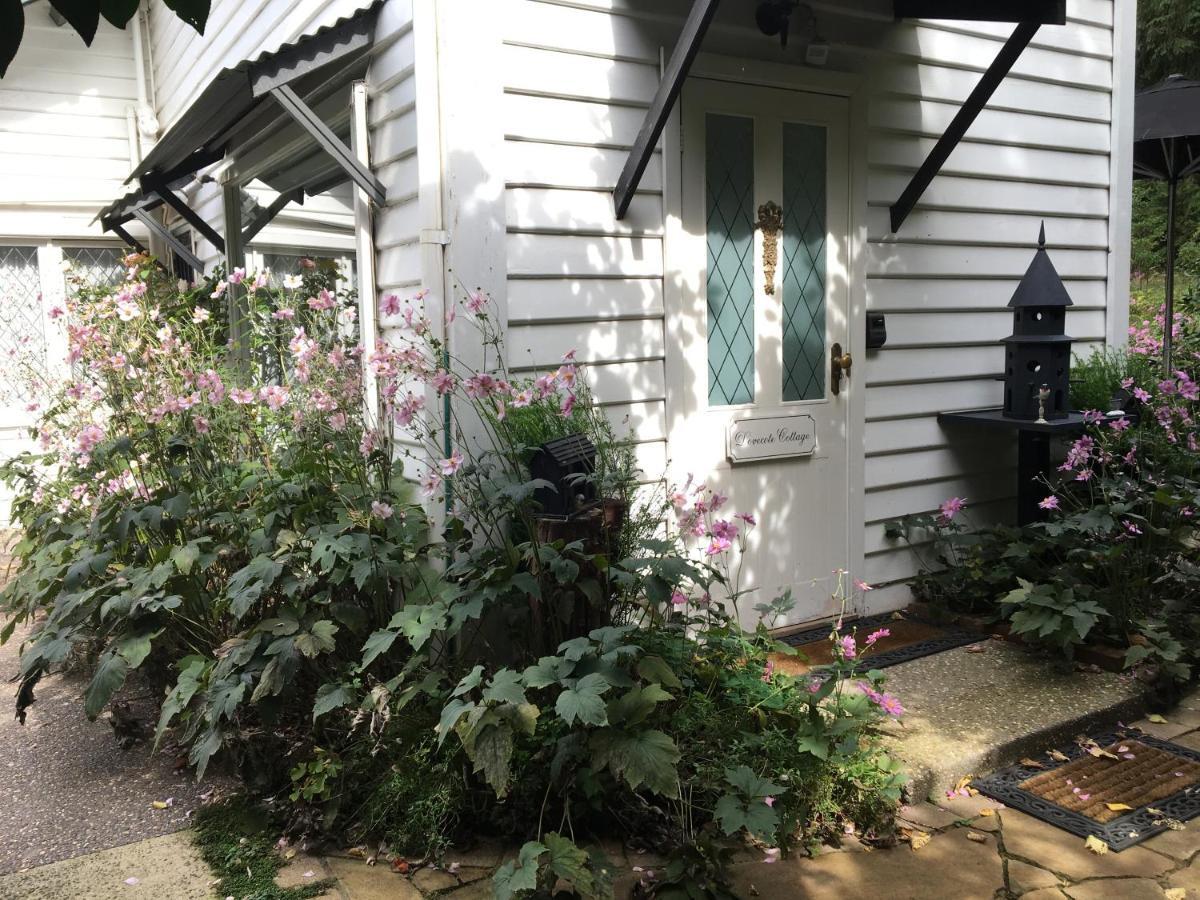 Clarendon Cottages Sassafras Екстериор снимка